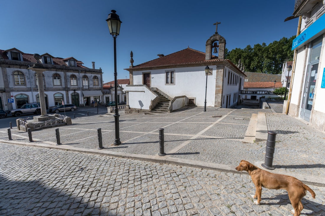 Preservar o Sagrado com Impressão 3D