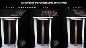 Impressão 3D Inspirada na Natureza é Mais Rápida e Económica